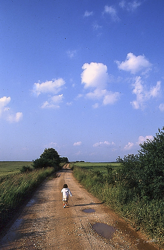 © All Rights Reserved - -Diapositive - 1980, Bourgogne, Chatillonais