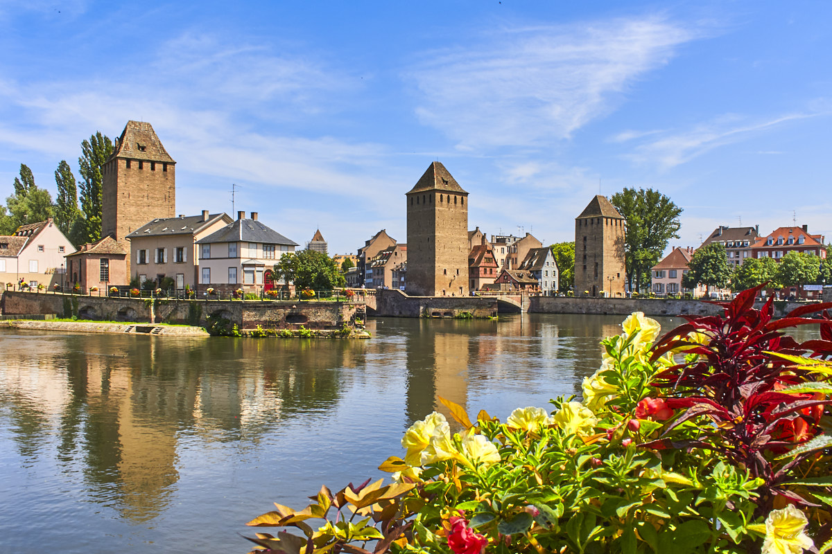 © All Rights Reserved - 2009-07-22 14:46:51 - f/16 1/60sec ISO-100 18mm - France, Alsace, Strasbourg