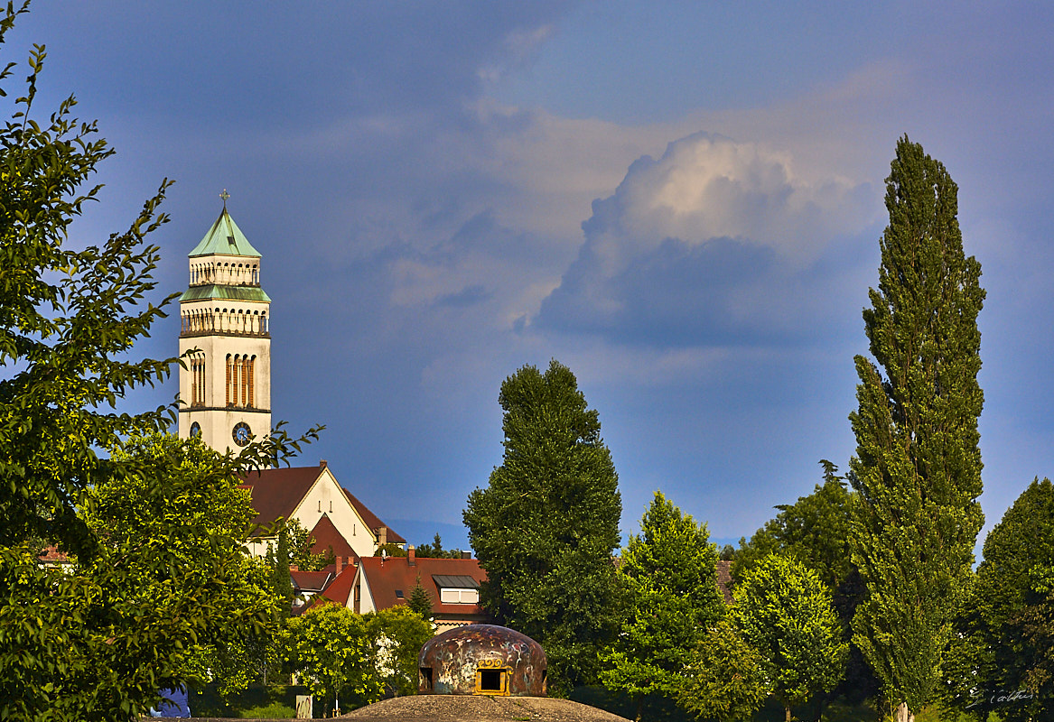 © All Rights Reserved - 2010-07-24 18:27:44 f/11 1/500sec ISO-200 110mm - Allemagne, Kehl - Jardin des deux rives