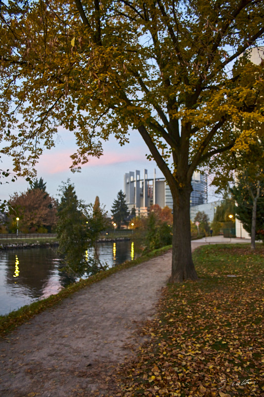 © All Rights Reserved - 2011-11-06 18:17:42 - f/3.5 1/15sec ISO-800 18mm - France, Alsace, Strasbourg