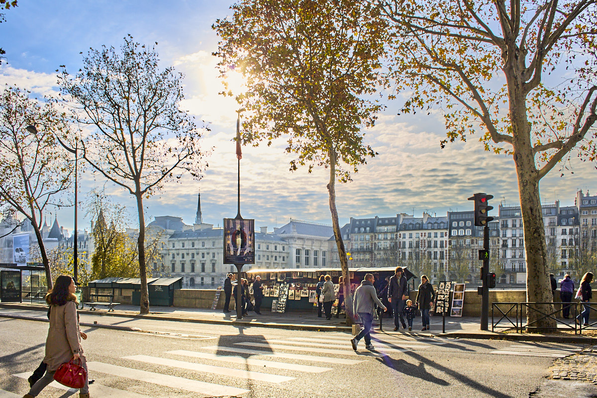 © All Rights Reserved - 2011-11-12 12:09:17 - f/9.5 1/250sec ISO-100 18mm - France, Île-de-France - Paris