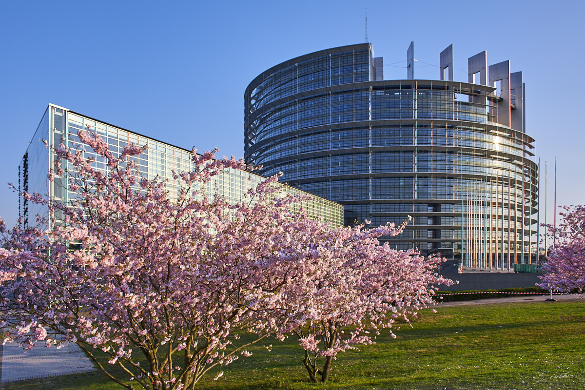 © All Rights Reserved - 2012-03-25 18:27:35 - f/8 1/125sec ISO-100 18mm - France, Alsace, Strasbourg, Parlement européen