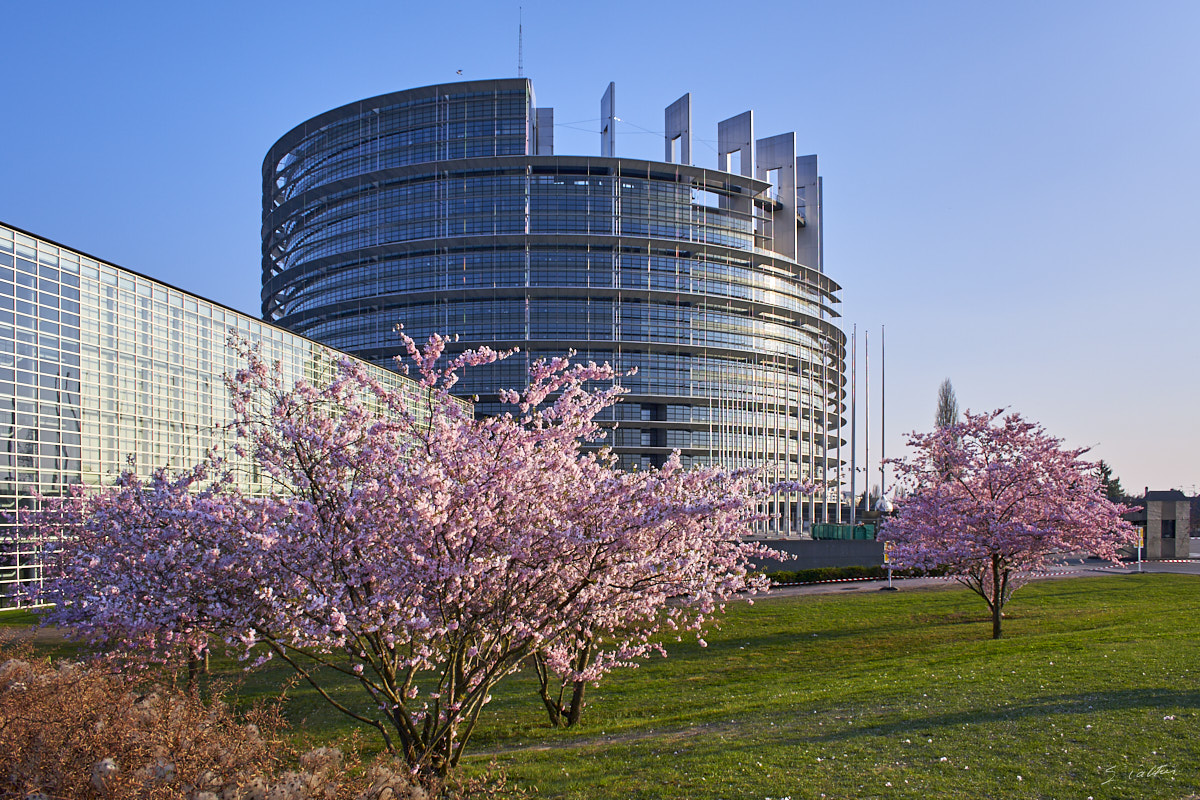 © All Rights Reserved - 2012-03-25 18:27:56 - f/8 1/125sec ISO-100 18mm - France, Alsace, Strasbourg, Parlement européen