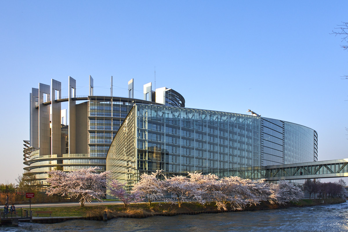 © All Rights Reserved - 2012-03-25 18:46:09 - f/8 1/180sec ISO-200 22mm - France, Alsace, Strasbourg, Parlement européen