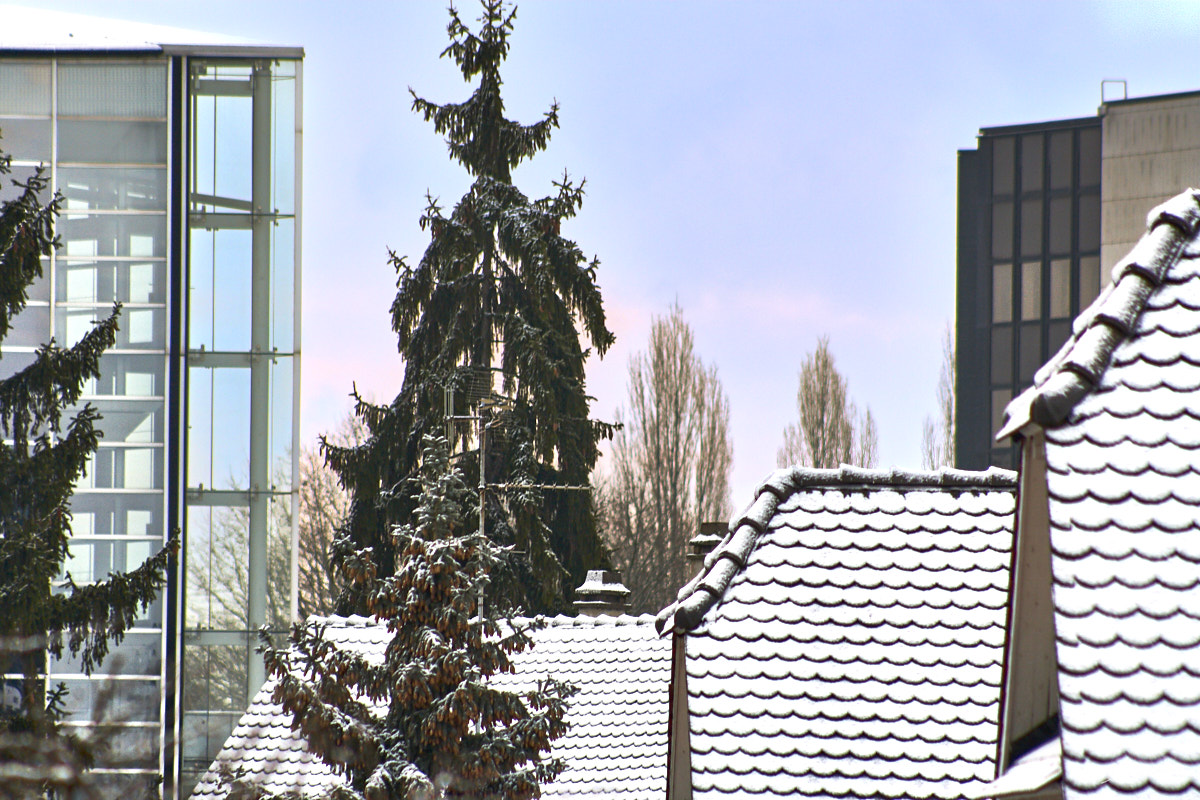 © All Rights Reserved - 2013-02-09 08:49:17 - f/5.6 1/320sec ISO-200 250mm - France, Alsace, Strasbourg, Parlement européen