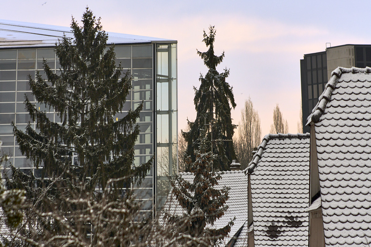 © All Rights Reserved - 2013-02-09 09:01:30 - f/5.6 1/400sec ISO-200 150mm - France, Alsace, Strasbourg, Parlement européen