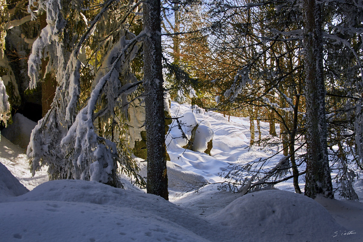 © All Rights Reserved - 2013-03-03 16:16:00 - f/8 1/80sec ISO-100 35mm - France, Alsace, Rothlach