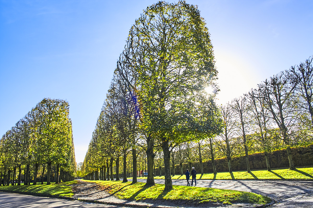 © All Rights Reserved - 2013-11-09 10:34:48 - f/7.1 1/125sec ISO-100 18mm - France, Versailles