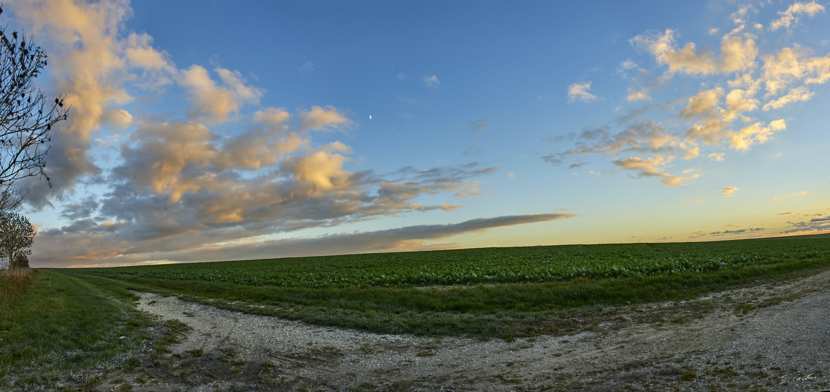 © All Rights Reserved - 2013-11-10 16:54:34 - f/7.1 1/125sec ISO-200 18mm - France, Nationale 4