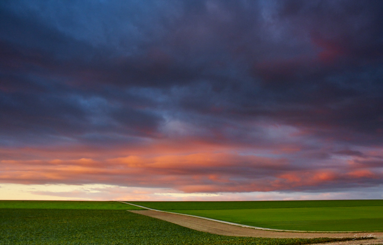 © All Rights Reserved - 2013-11-10 17:08:07 - f/6.3 1/25sec ISO-800 21mm - France, Nationale 4