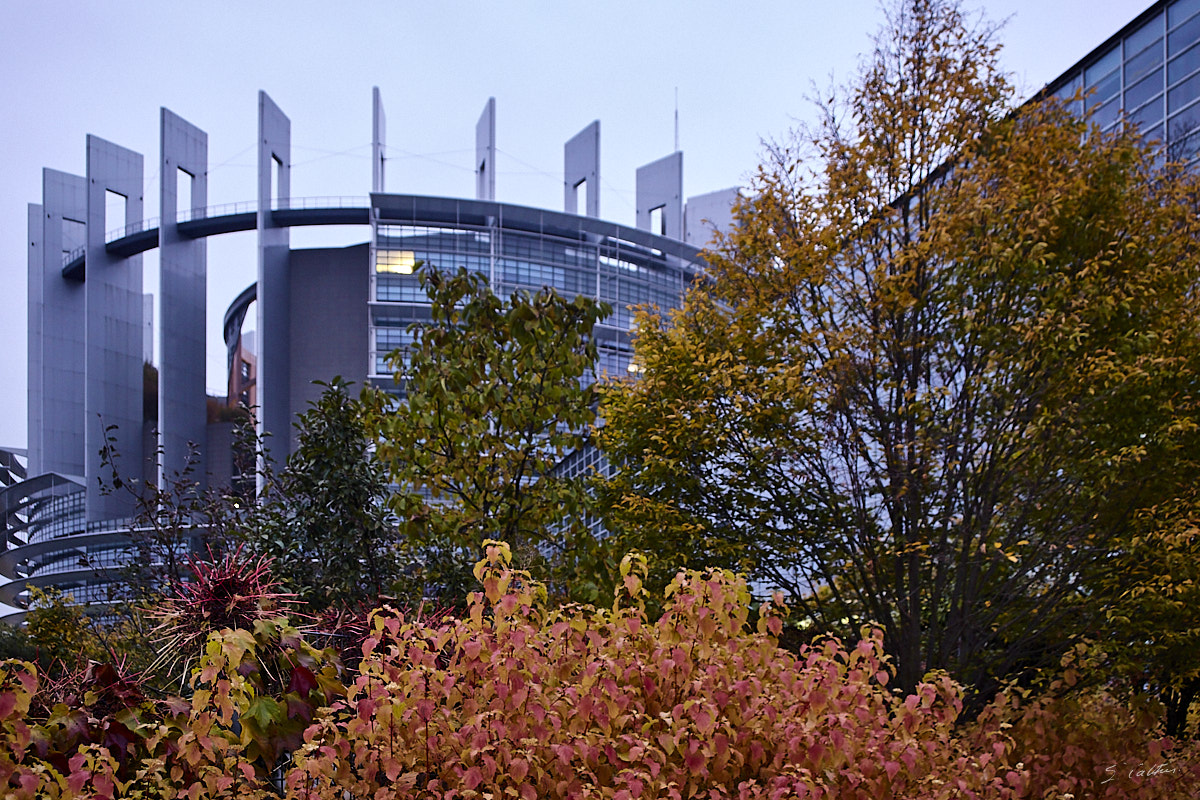 © All Rights Reserved - 2013-11-16 16:57:32 - f/6.3 1/15sec ISO-3200 36mm - France, Alsace, Strasbourg, Parlement européen