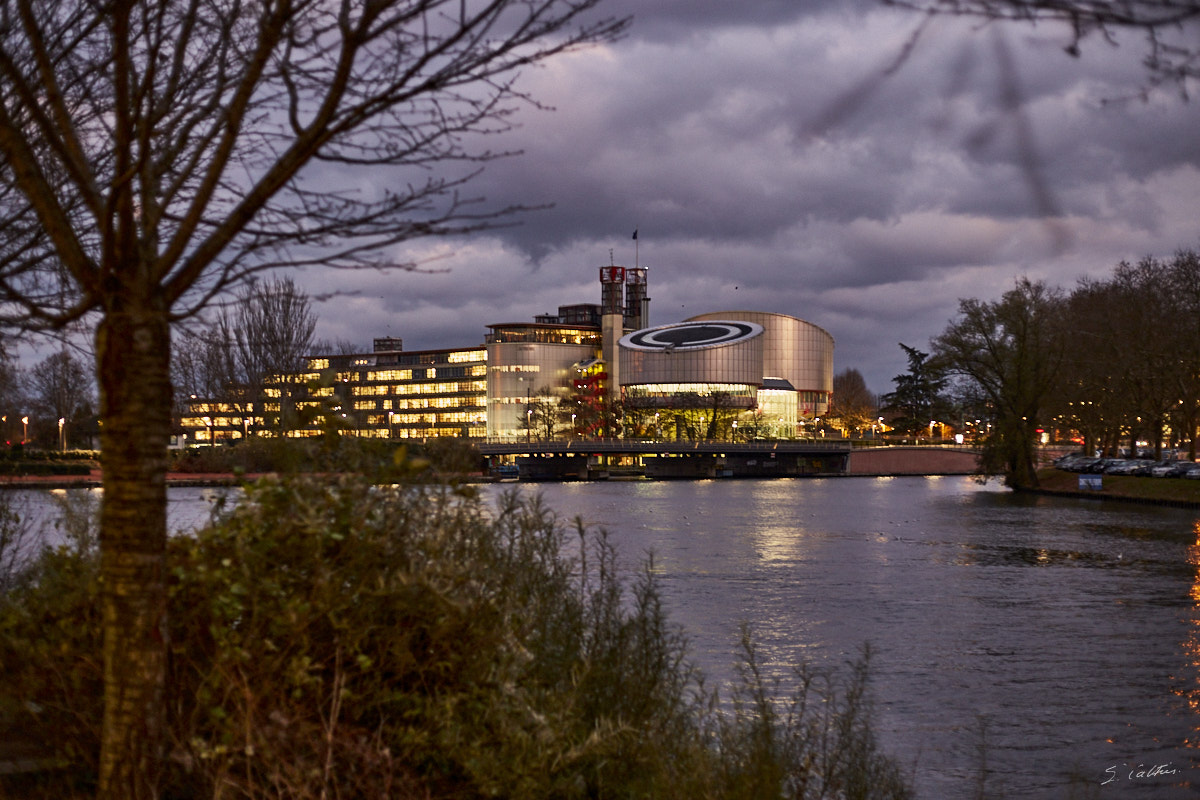 © All Rights Reserved - 2013-12-05 16:59:27 - f/2.5 1/25sec ISO-1600 50mm - France, Alsace, Strasbourg