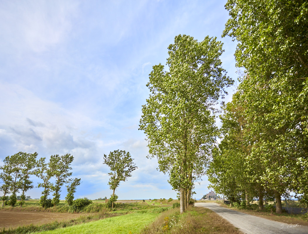 © All Rights Reserved - 2014-08-05 17:15:48 - f/4 1/1600sec ISO-100 17mm - France, Normandie, Mont-Saint-Michel