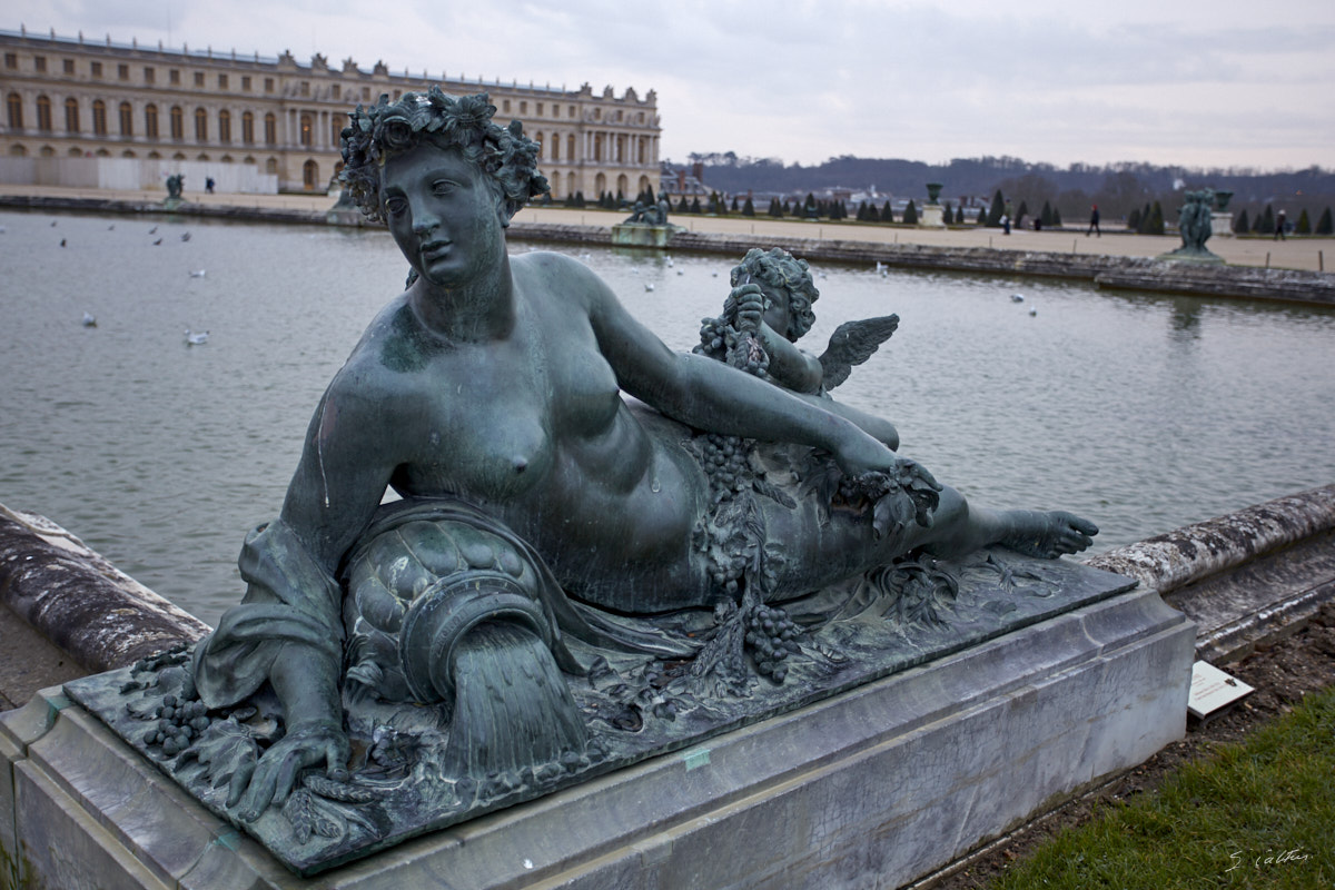 © All Rights Reserved - 2014-12-26 16:46:07 - f/4 1/30sec ISO-400 36mm - France, Versailles