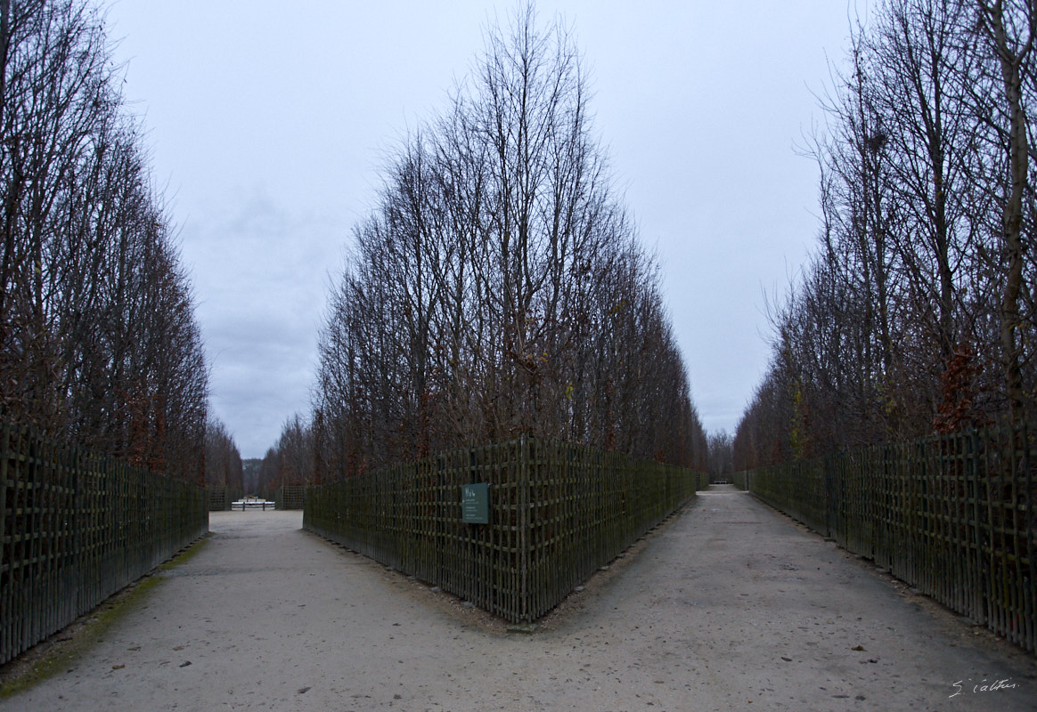 © All Rights Reserved - 2014-12-26 17:04:47 - f/4 1/25sec ISO-1000 17mm - France, Versailles