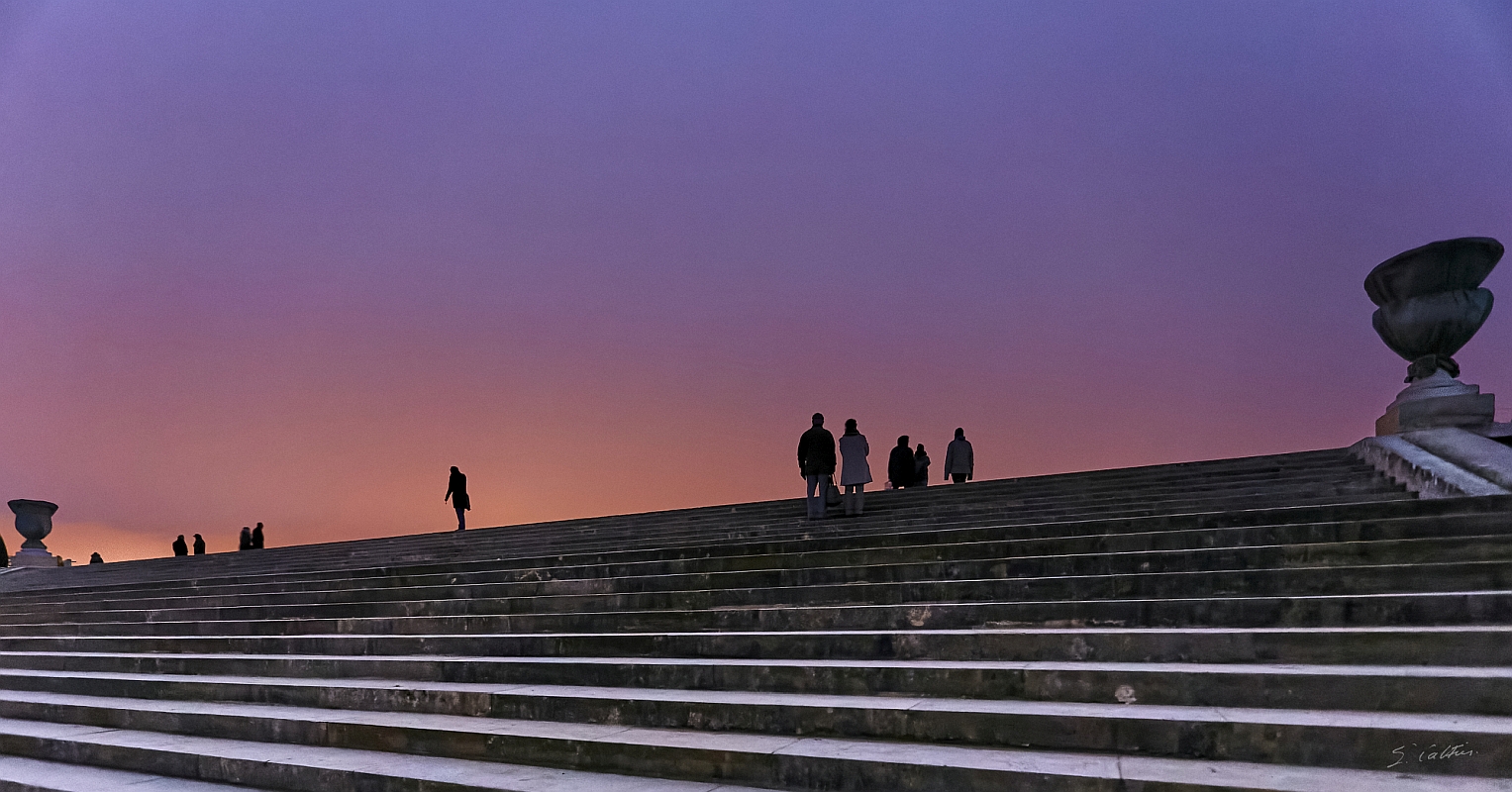 © All Rights Reserved - 2014-12-26 17:37:33 - f/4 1/20sec ISO-12800 17mm - France, Versailles