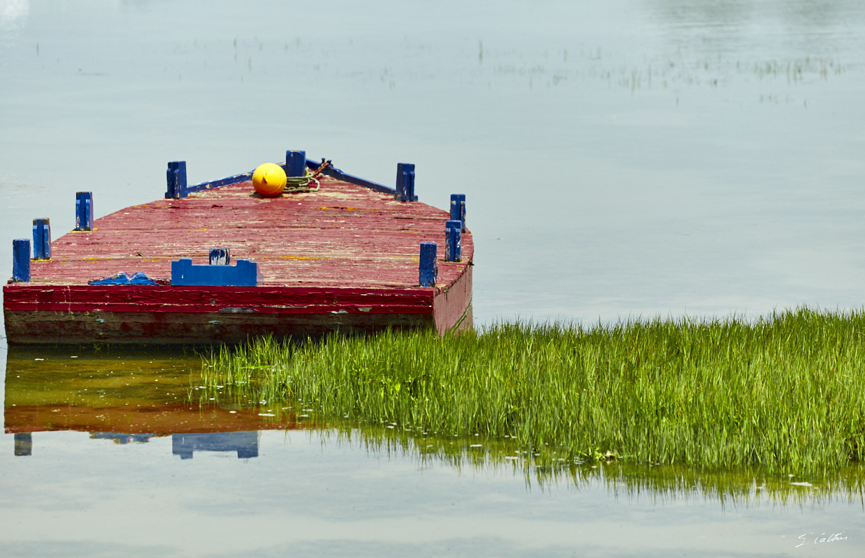 © All Rights Reserved - 2015-06-13 14:20:42 - f/5.6 1/640sec ISO-200 227mm - France, Aquitaine, Gironde, Cap Ferret