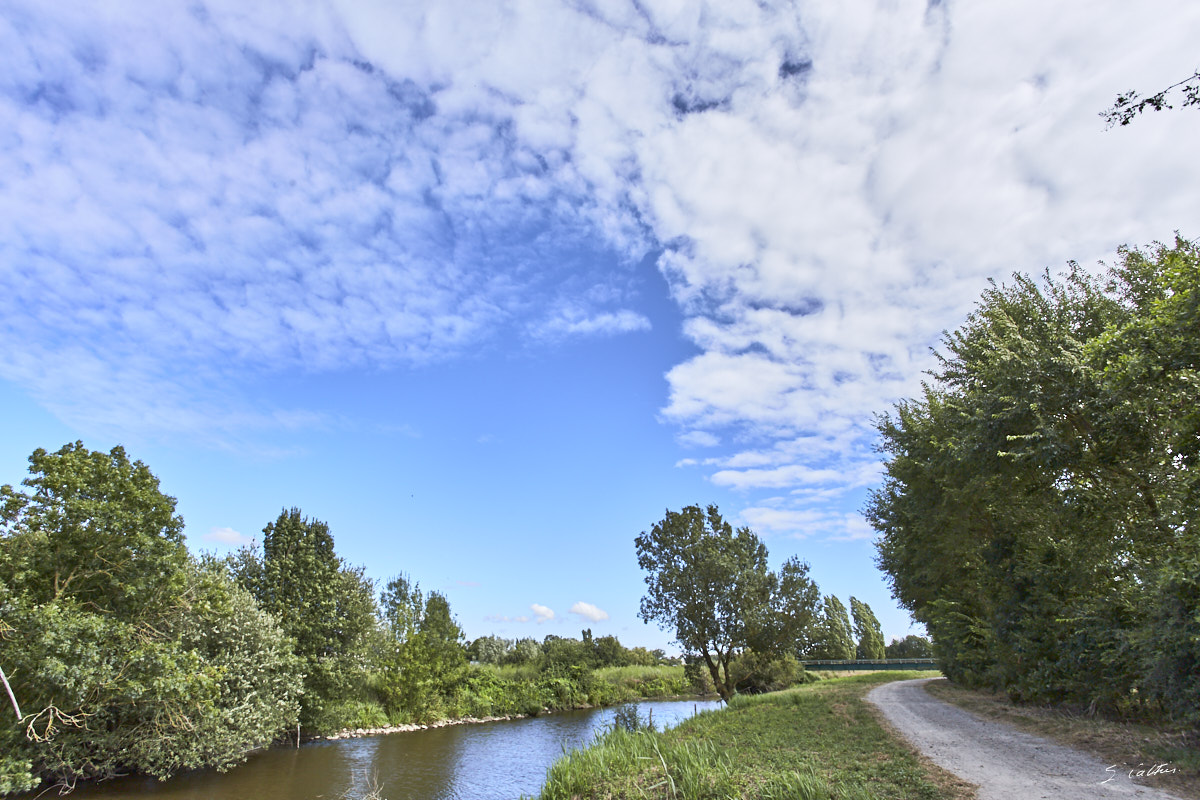 © All Rights Reserved - 2015-07-22 16:59:56 - f/10 1/250sec ISO-100 17mm - Loire-Atlantique, Grande Brière