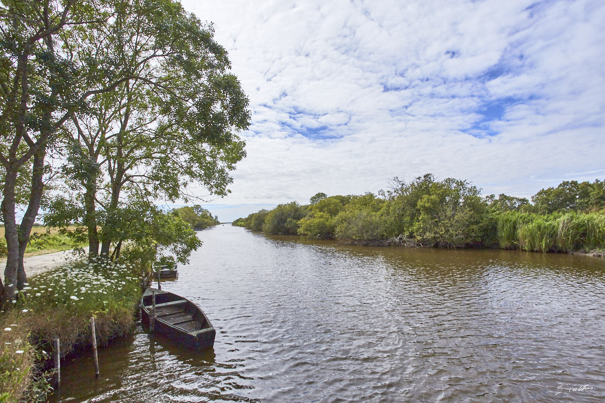 © All Rights Reserved - 2015-07-22 17:23:27 - f/10 1/1000sec ISO-200 17mm - Loire-Atlantique, Grande Brière