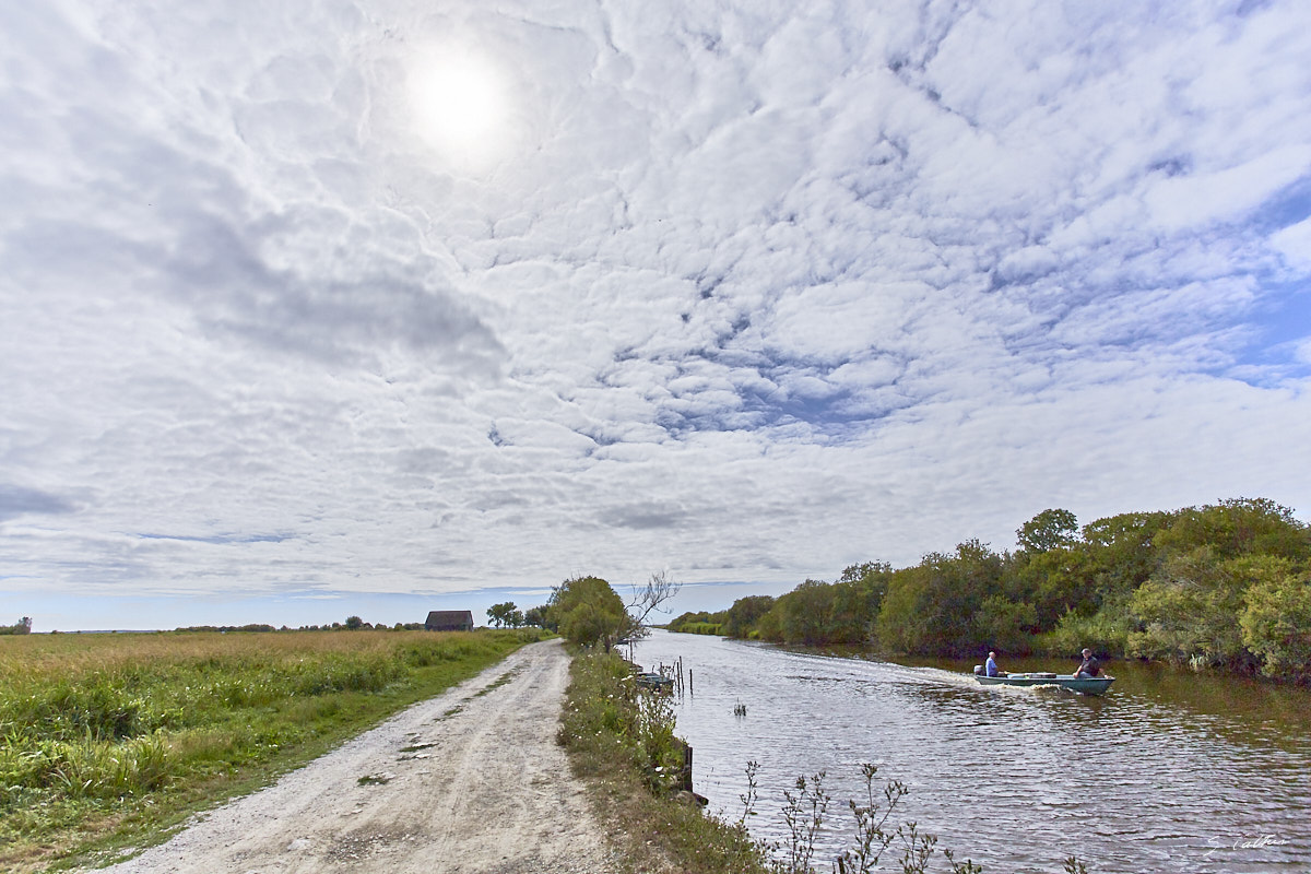 © All Rights Reserved - 2015-07-22 17:24:16 - f/10 1/2500sec ISO-200 17mm - Loire-Atlantique, Grande Brière