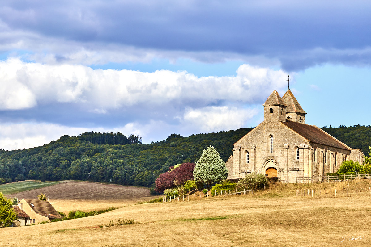 © All Rights Reserved - 2015-07-25 17:55:14 - f/5 1/2500sec ISO-200 158mm - France, Bourgogne, Saône-et-Loire, Sigy-le-Châtel