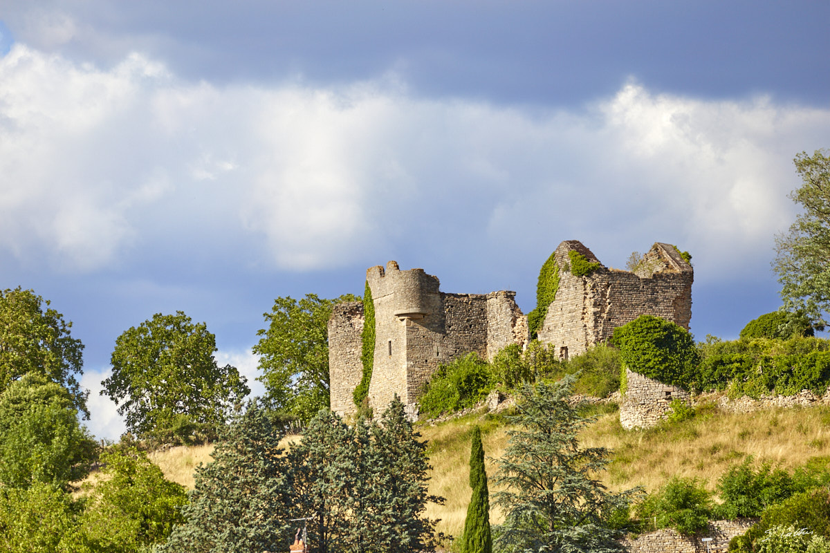 © All Rights Reserved - 2015-07-25 17:57:39 - f/5 1/1250sec ISO-200 278mm - France, Bourgogne, Saône-et-Loire, Sigy-le-Châtel