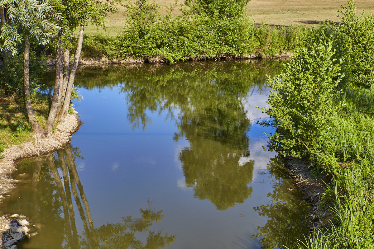 © All Rights Reserved - 2015-07-25 18:50:57 - f/8 1/200sec ISO-200 49mm - France, Bourgogne, Saône-et-Loire, Sigy-le-Châtel