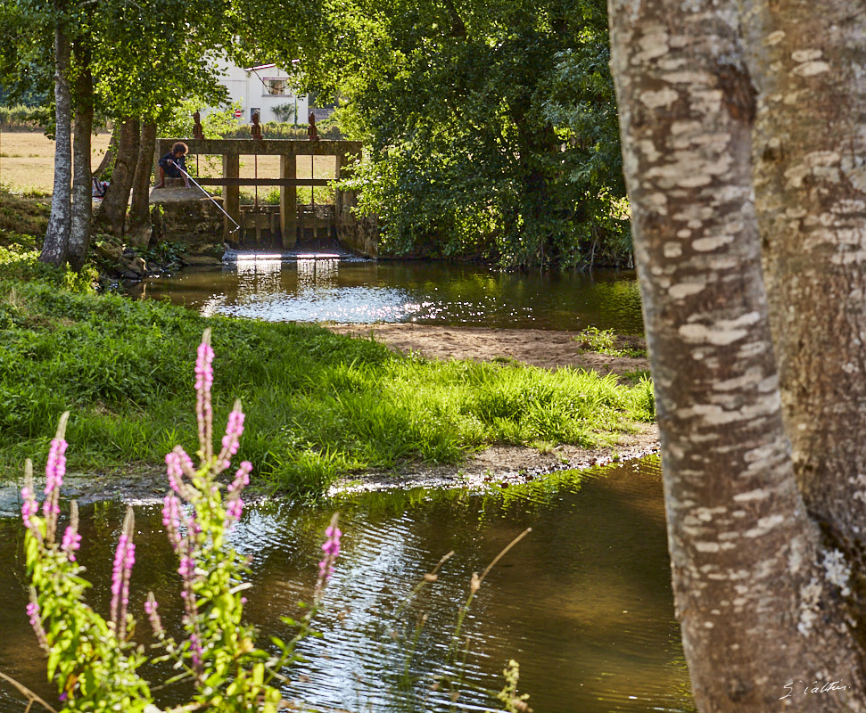 © All Rights Reserved - 2015-07-25 18:52:54 - f/8 1/160sec ISO-200 70mm - France, Bourgogne, Saône-et-Loire, Sigy-le-Châtel