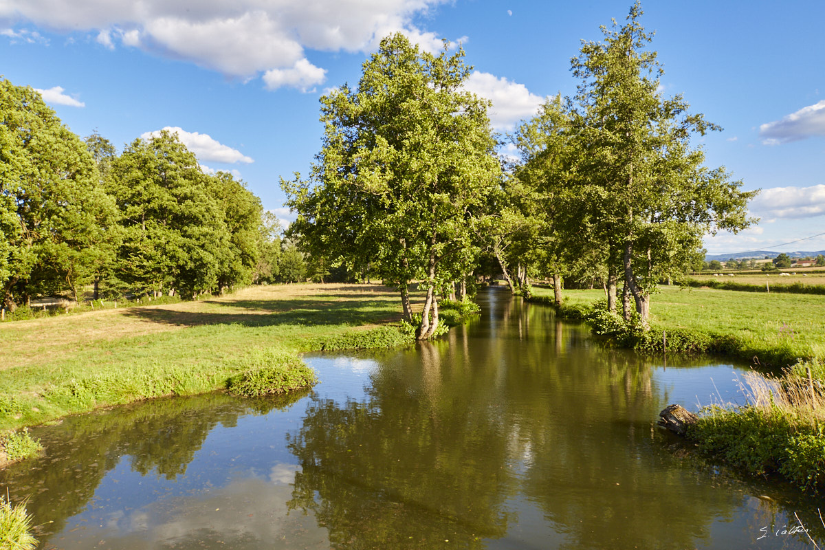 © All Rights Reserved - 2015-07-25 19:00:54 - f/16 1/50sec ISO-200 24mm - France, Bourgogne, Saône-et-Loire, Sigy-le-Châtel