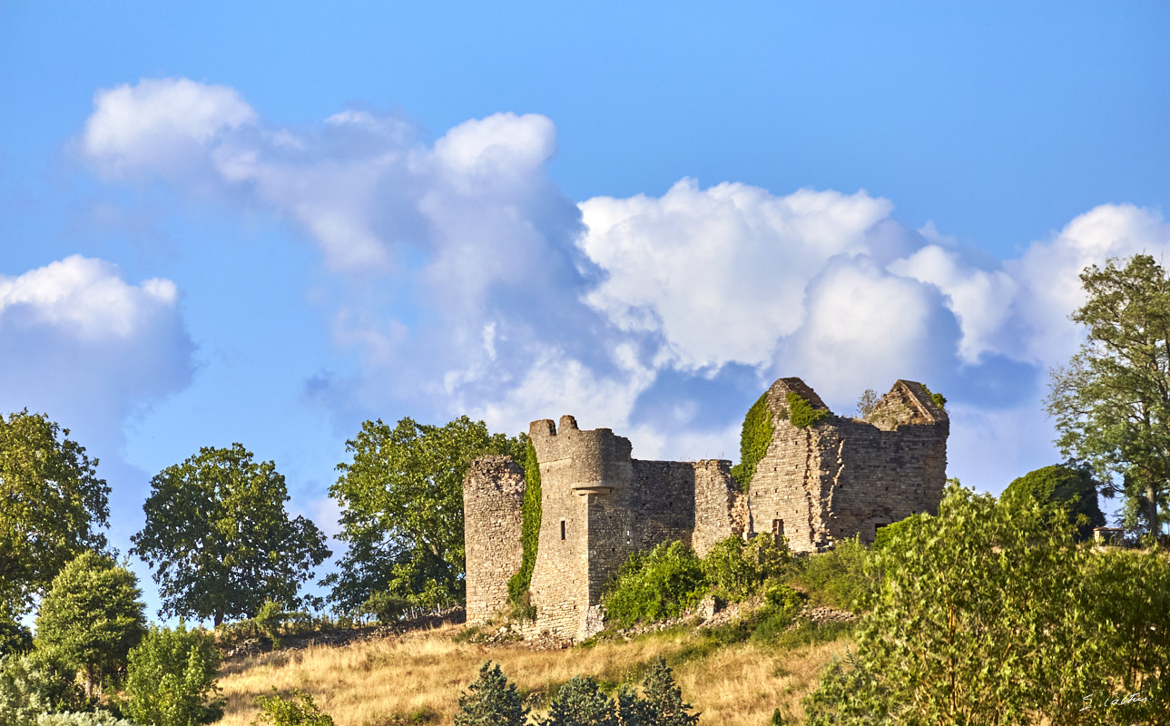 © All Rights Reserved - 2015-07-25 19:09:41 - f/5.6 1/4000sec ISO-400 400mm - France, Bourgogne, Saône-et-Loire, Sigy-le-Châtel