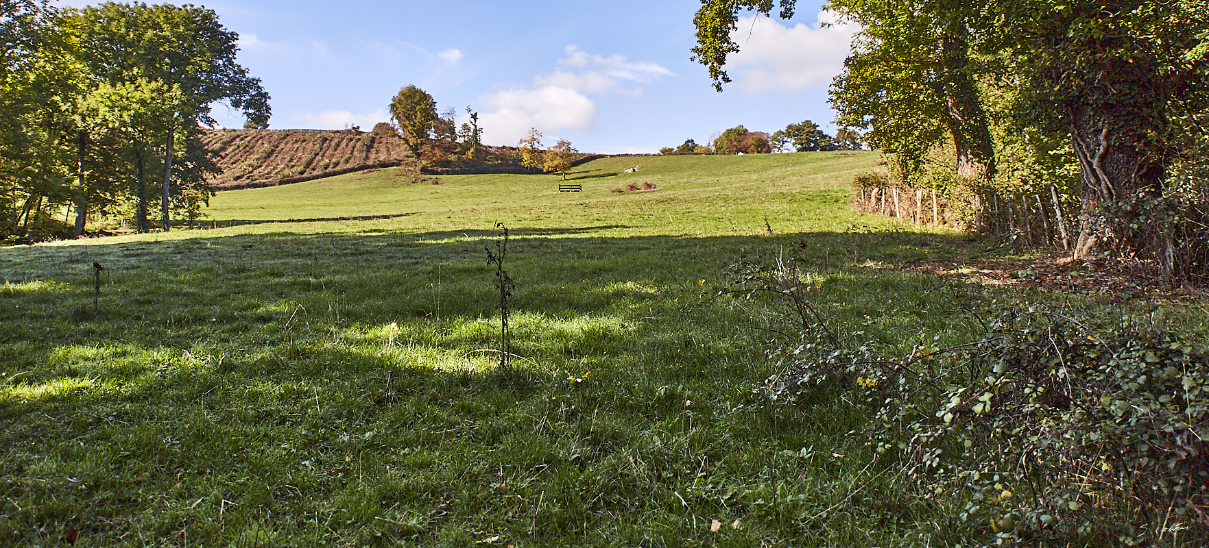 © All Rights Reserved - 2016-10-22 14:32:07 - f/2.8 1/2000sec ISO-100 24mm - France, Bourgogne, Saône-et-Loire, Sigy-le-Châtel