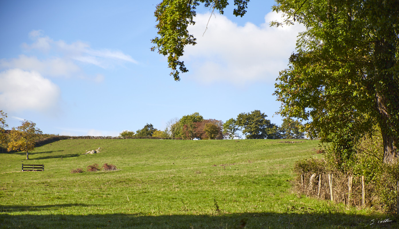 © All Rights Reserved - 2016-10-22 14:32:10 - f/2.8 1/1600sec ISO-100 70mm - France, Bourgogne, Saône-et-Loire, Sigy-le-Châtel