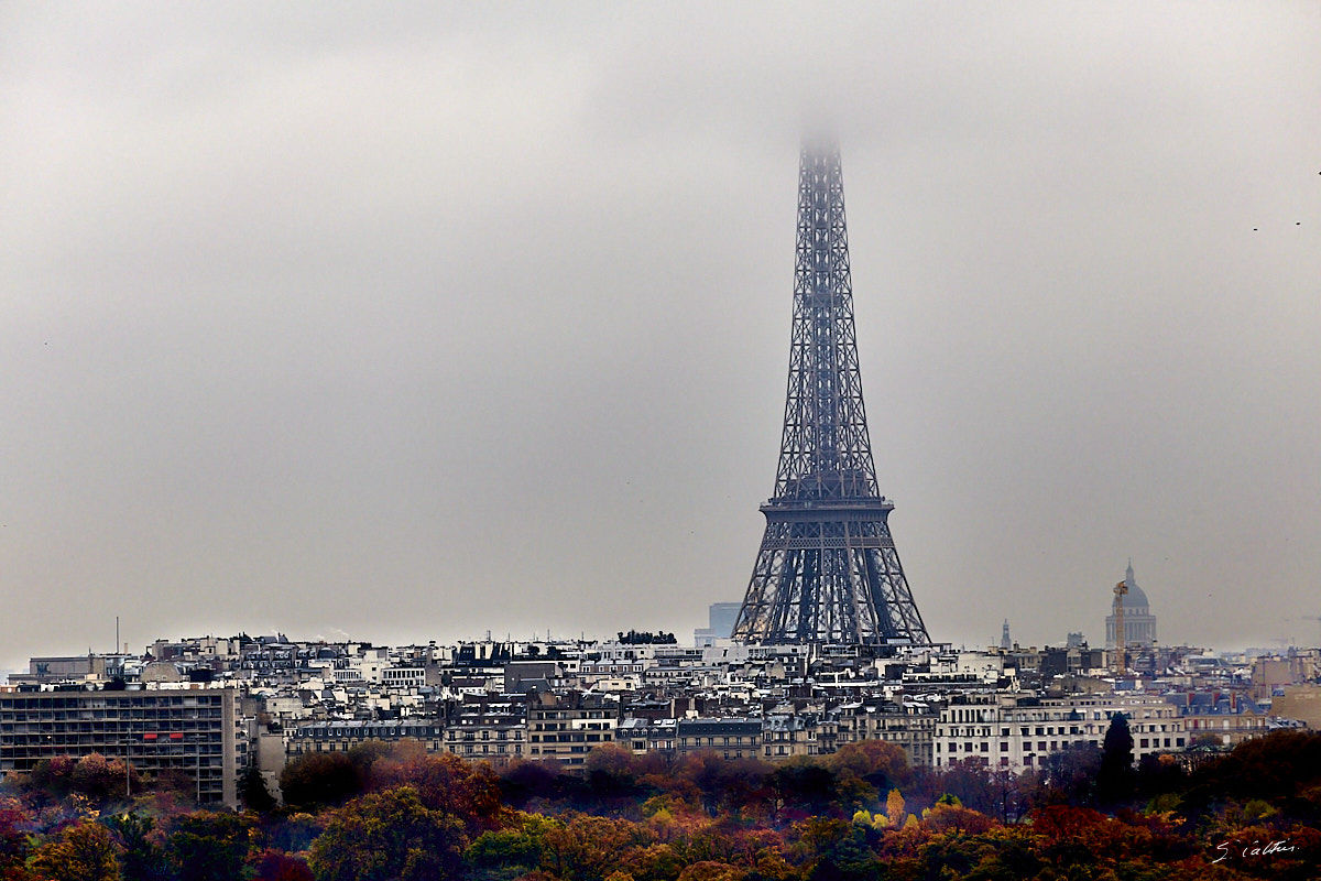 © All Rights Reserved - 2016-11-15 16:09:24 - f/7.1 1/400sec ISO-800 400mm - France, Île-de-France - Paris