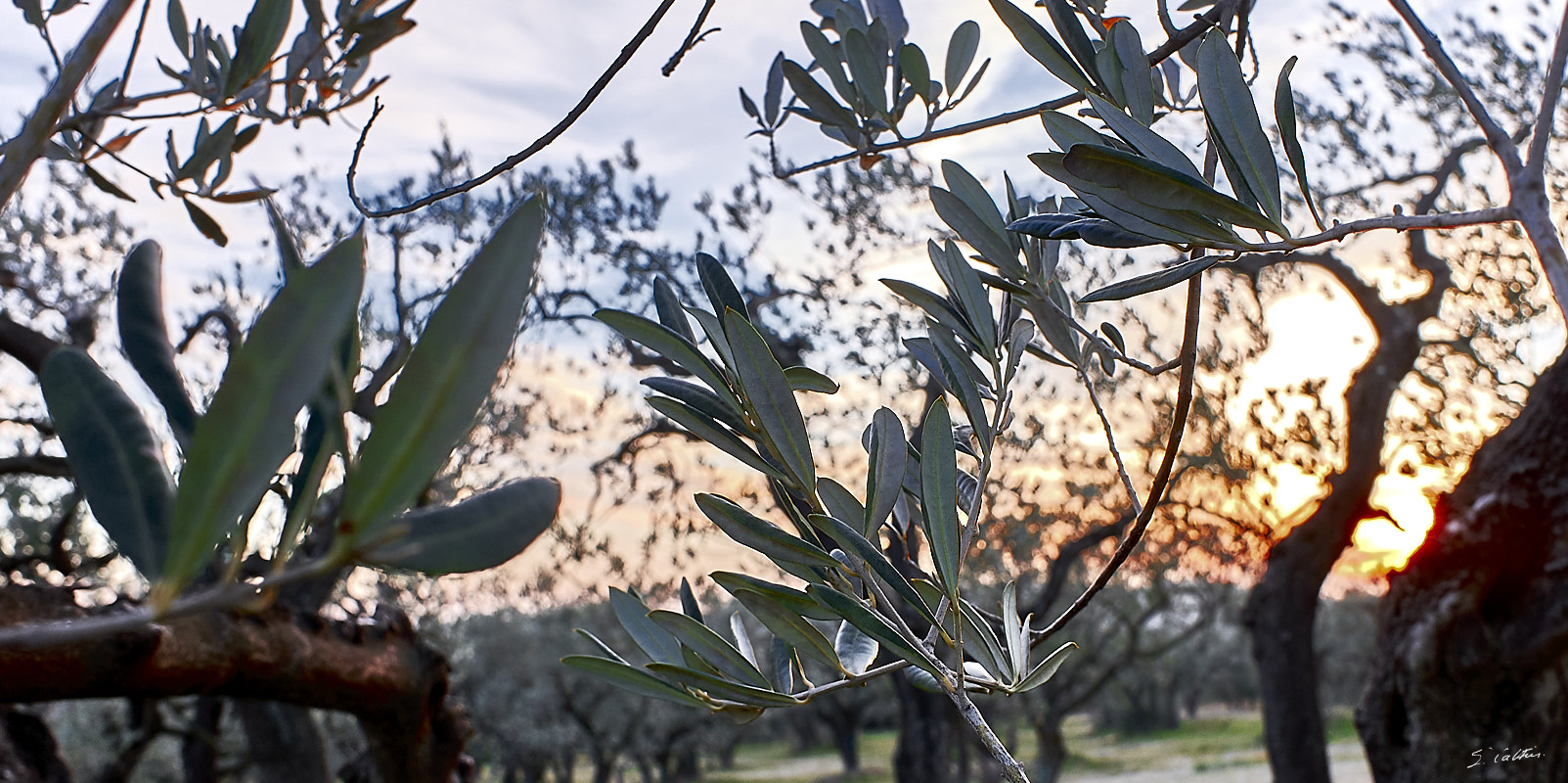 © All Rights Reserved - 2017-01-24 17:19:45 - f/8 1/40sec ISO-200 18.5mm - France, Provence, Les Baux-de-Provence