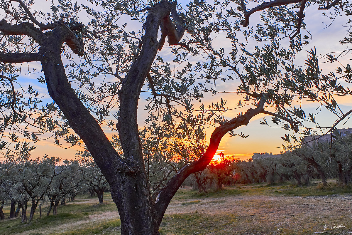 © All Rights Reserved - 2017-01-24 17:20:33 - f/8 1/90sec ISO-200 18.5mm - France, Provence, Les Baux-de-Provence