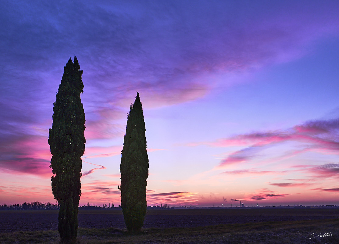 © All Rights Reserved - 2017-01-24 17:53:53 - f/5.6 1/25sec ISO-200 18.5mm - France, Provence