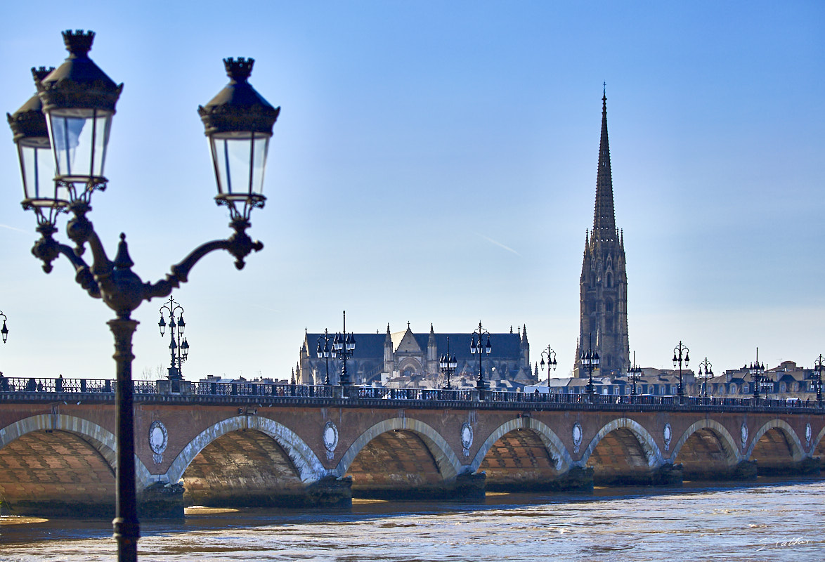 © All Rights Reserved - 2017-02-15 11:36:55 - f/5.6 1/1000sec ISO-100 100mm - France, Aquitaine, Bordeaux