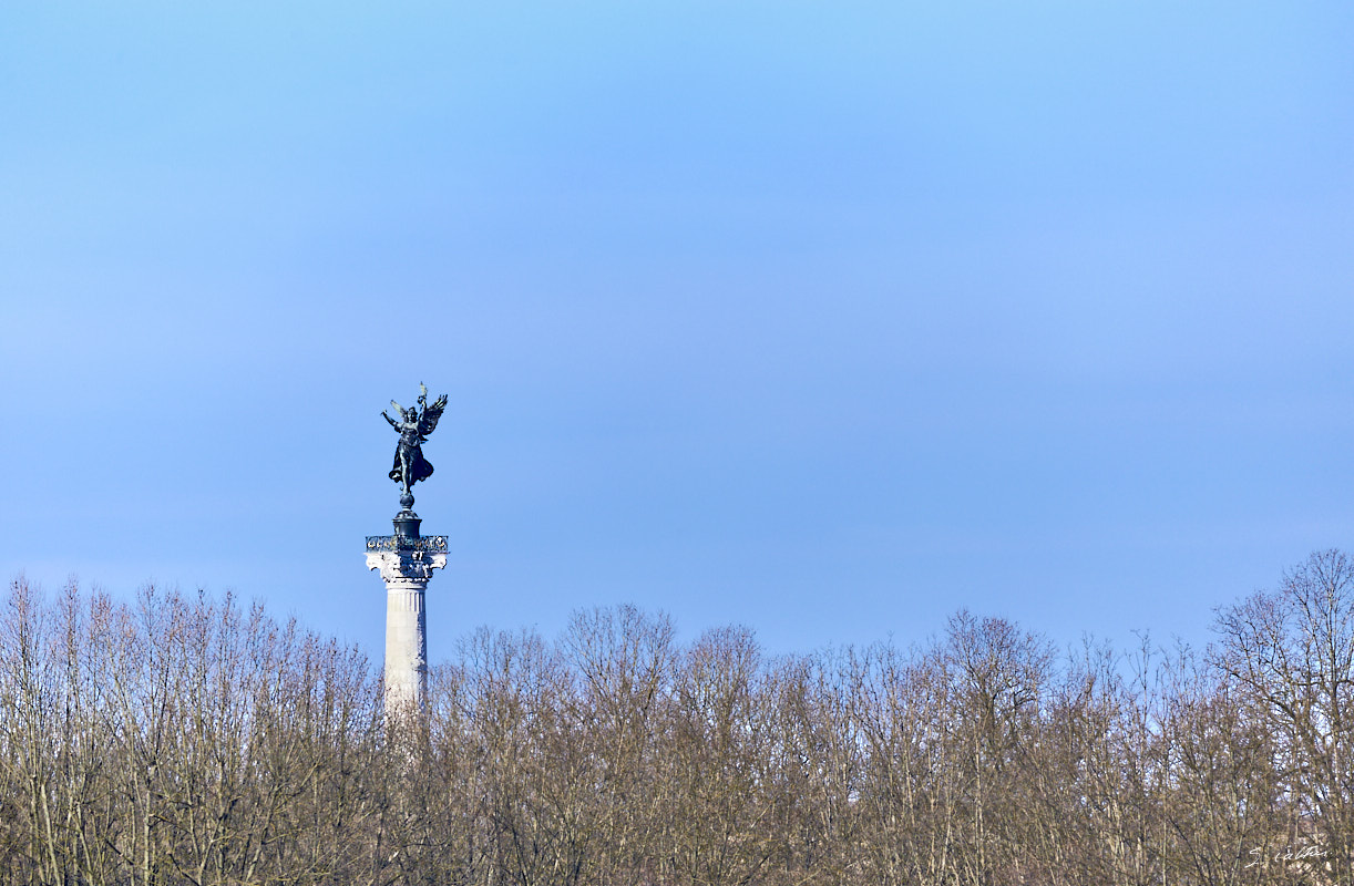 © All Rights Reserved - 2017-02-15 11:43:51 - f/5.6 1/1250sec ISO-100 400mm - France, Aquitaine, Bordeaux