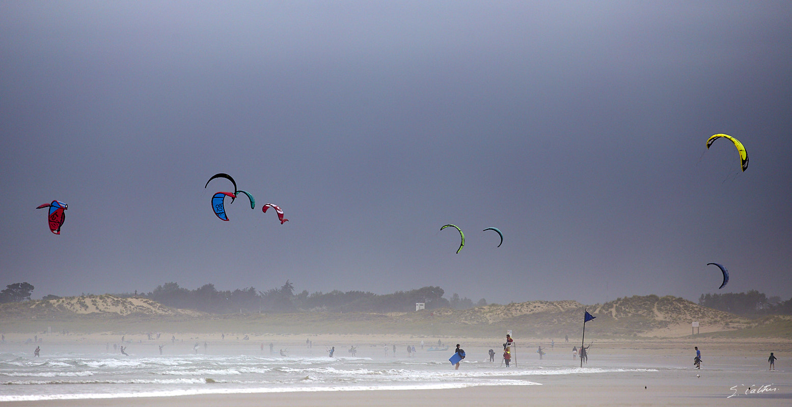 © All Rights Reserved - 2017-08-02 18:13:56 - f/5.6 1/800sec ISO-200 400mm - France, Bretagne, Carnac