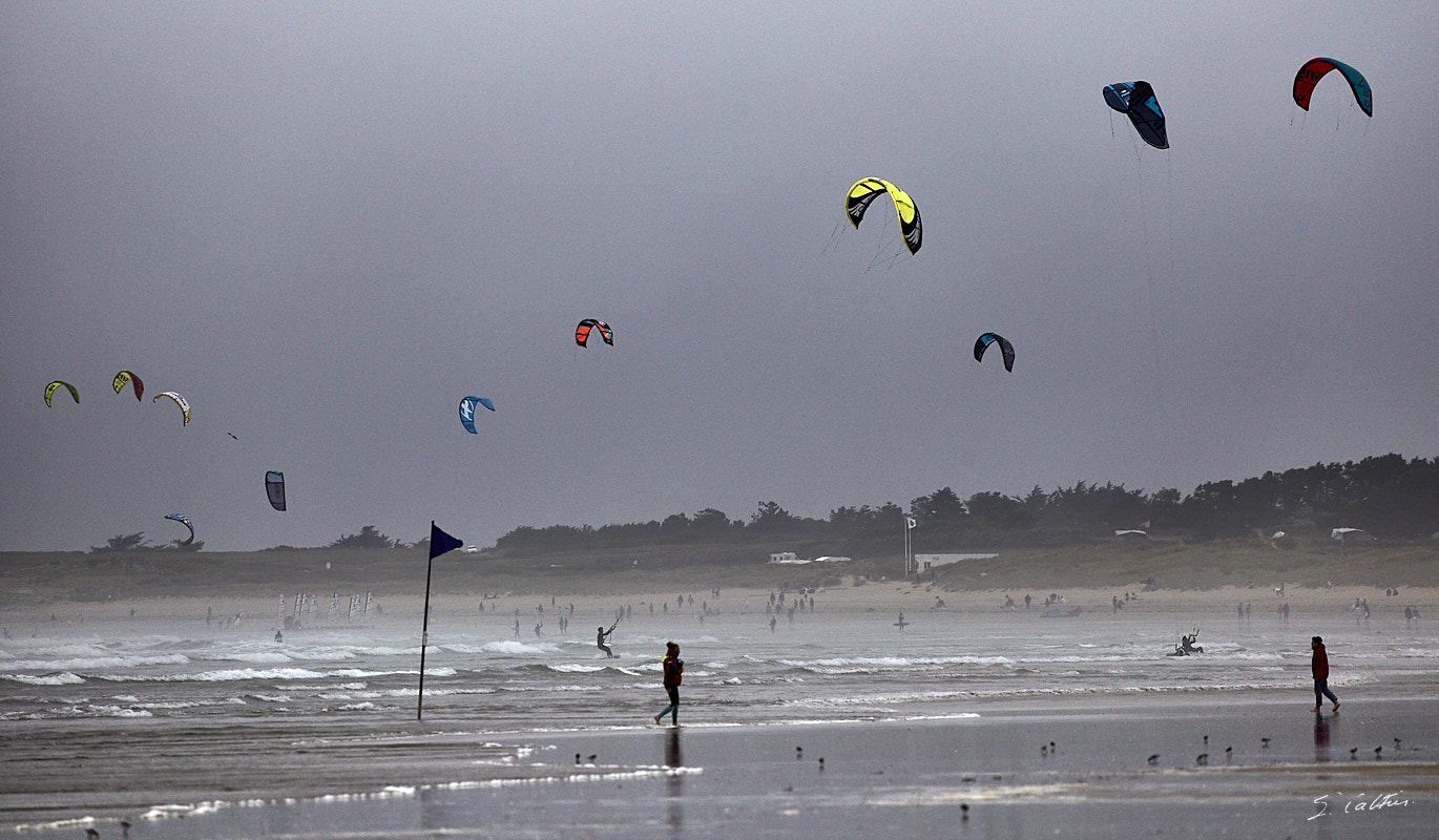 © All Rights Reserved - 2017-08-02 18:20:55 - f/5.6 1/1600sec ISO-400 400mm - France, Bretagne, Carnac