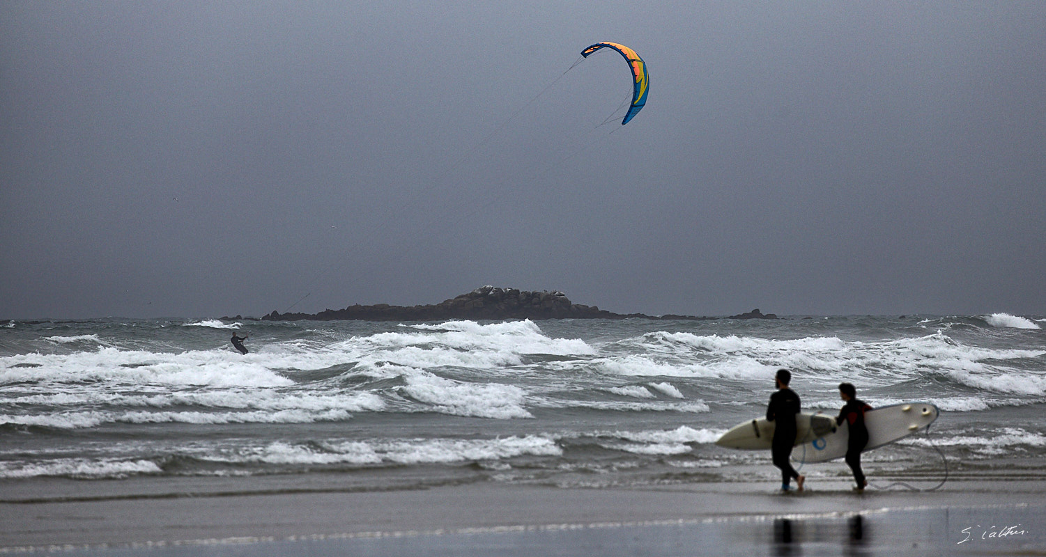 © All Rights Reserved - 2017-08-02 18:26:45 - f/5.6 1/1600sec ISO-400 400mm - France, Bretagne, Carnac