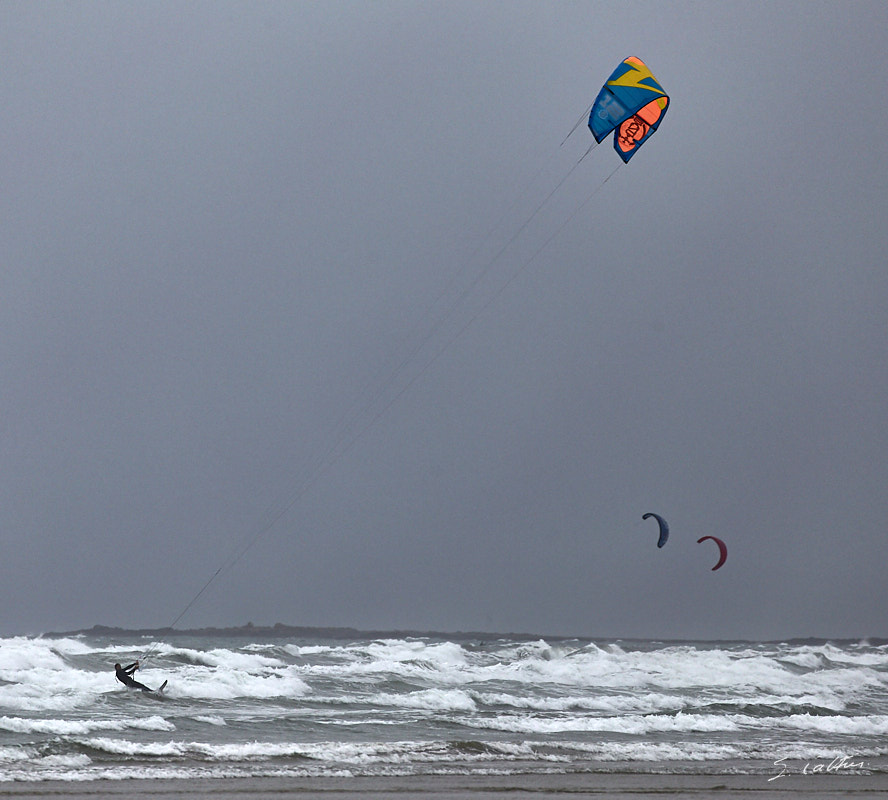 © All Rights Reserved - 2017-08-02 18:27:15 - f/5.6 1/1600sec ISO-400 400mm - France, Bretagne, Carnac