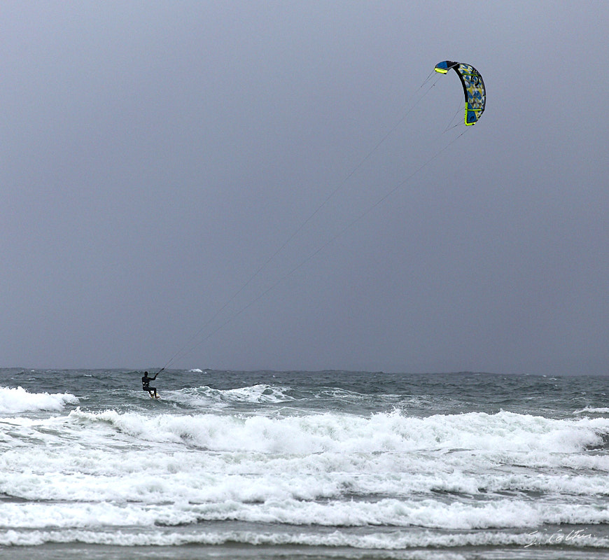 © All Rights Reserved - 2017-08-02 18:30:28 - f/5.6 1/1600sec ISO-400 400mm - France, Bretagne, Carnac