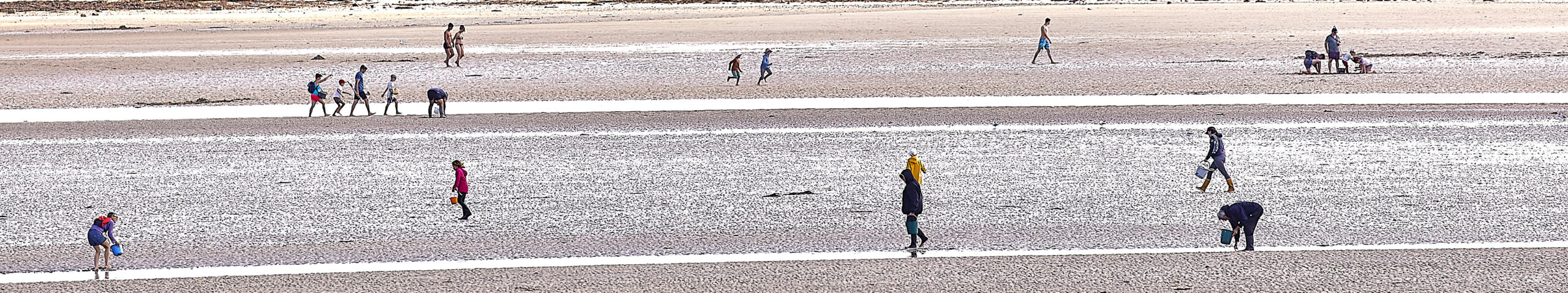 © All Rights Reserved - 2017-08-05 10:41:24 - f/5.6 1/800sec ISO-100 349mm - France, Bretagne, Carnac