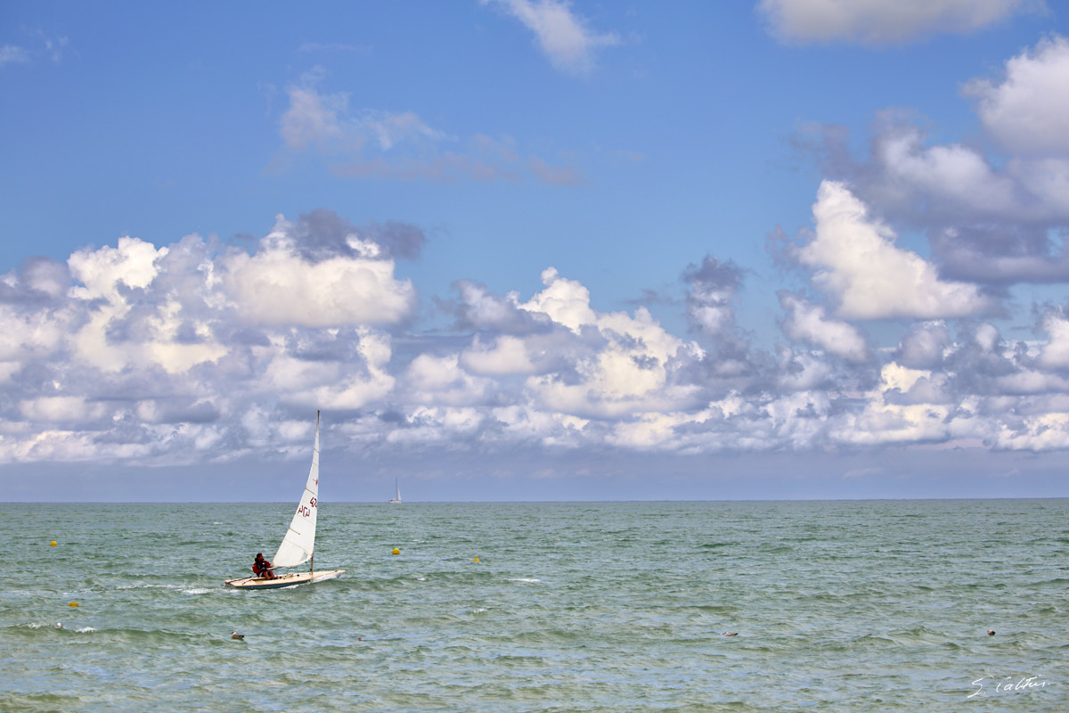 © All Rights Reserved - 2017-08-09 12:35:19 - f/5.6 1/500sec ISO-100 100mm - France, Normandie, Veulettes-sur-Mer