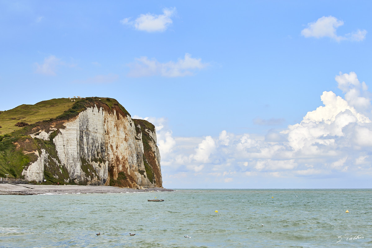 © All Rights Reserved - 2017-08-09 12:35:49 - f/8 1/160sec ISO-100 100mm - France, Normandie, Veulettes-sur-Mer