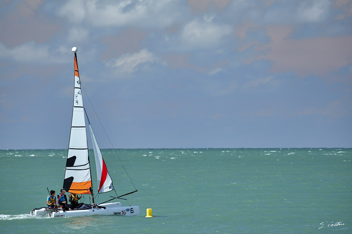 © All Rights Reserved - 2017-08-09 14:35:24 - f/5.6 1/500sec ISO-100 349mm - France, Normandie, Veulettes-sur-Mer