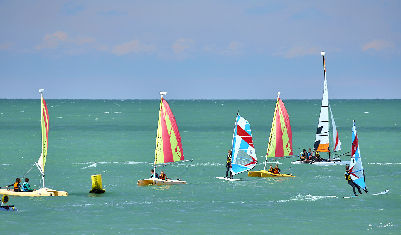 © All Rights Reserved - 2017-08-09 14:40:53 - f/5.6 1/320sec ISO-100 400mm - France, Normandie, Veulettes-sur-Mer