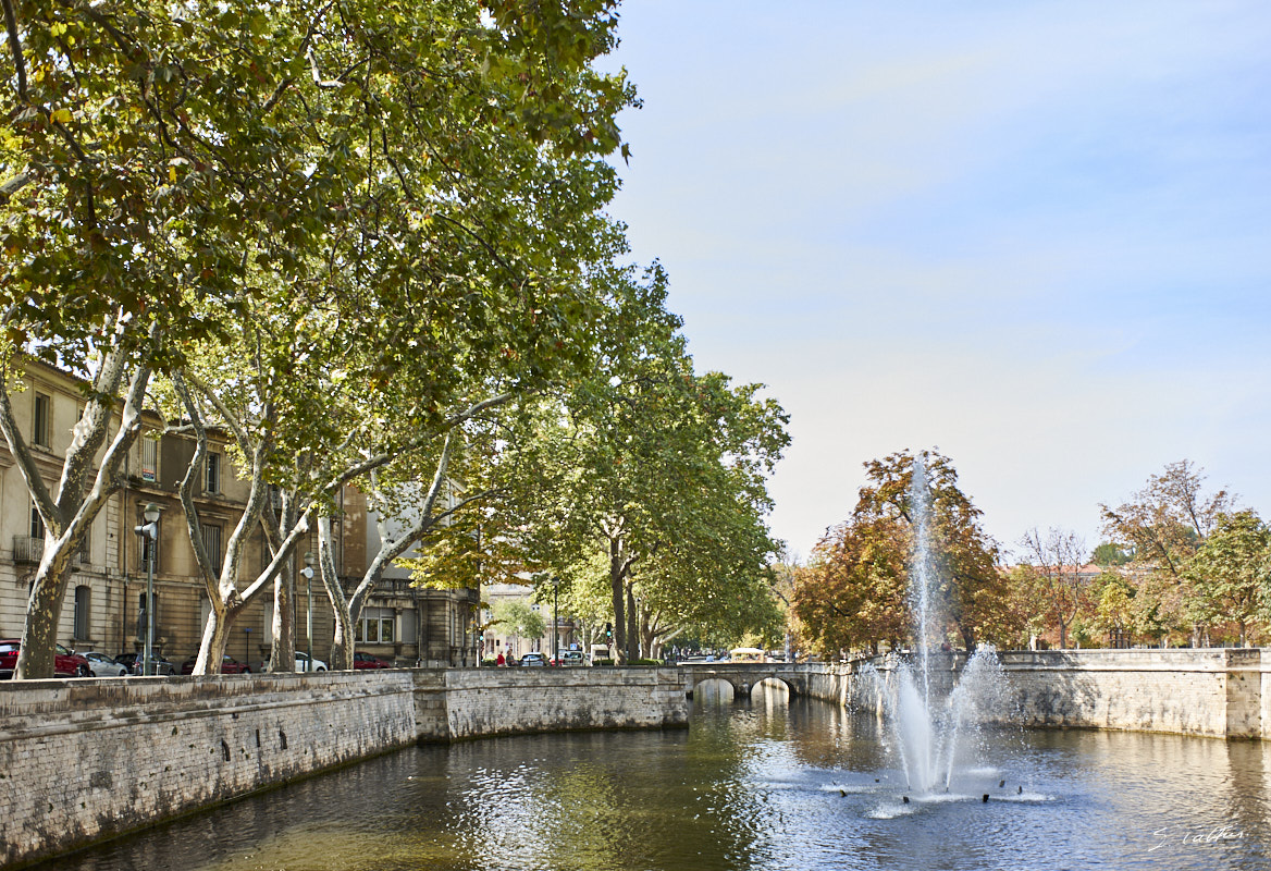 © All Rights Reserved - 2017-09-22 12:05:03 - f/3.6 1/340sec ISO-200 18.5mm - France, Occitanie, Gard, Nîmes