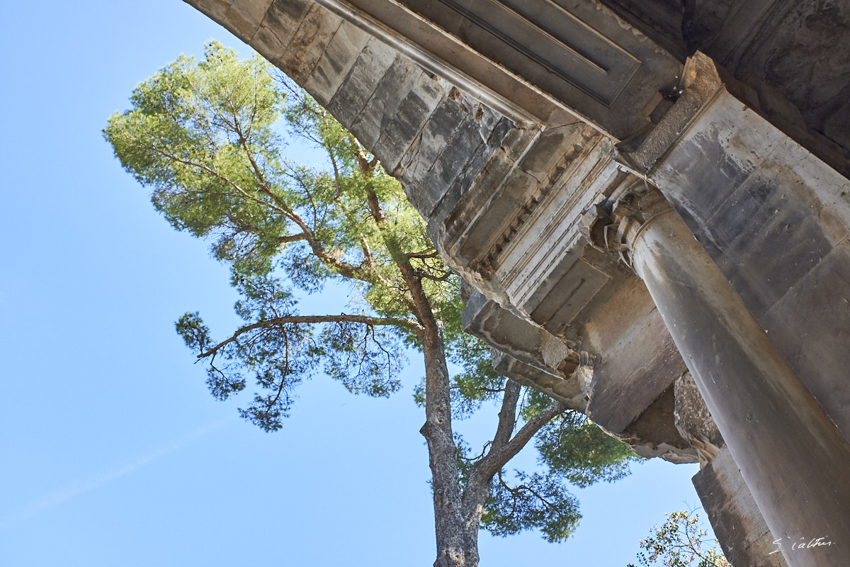 © All Rights Reserved - 2017-09-24 15:34:18 - f/11 1/80sec ISO-640 18.5mm - France, Occitanie, Gard, Nîmes